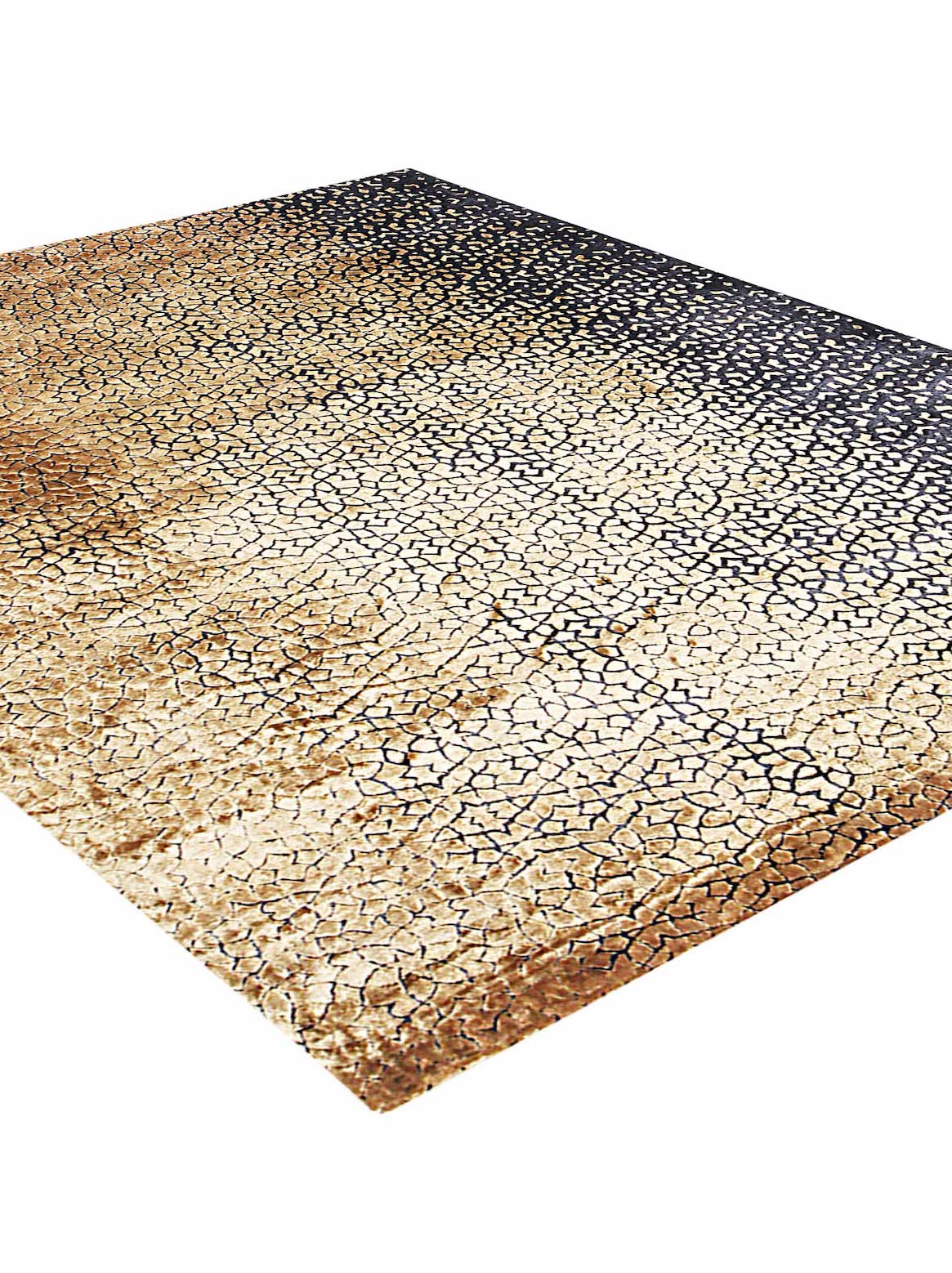 Luxury carpet in Black & Gold color and 6' x 9' size