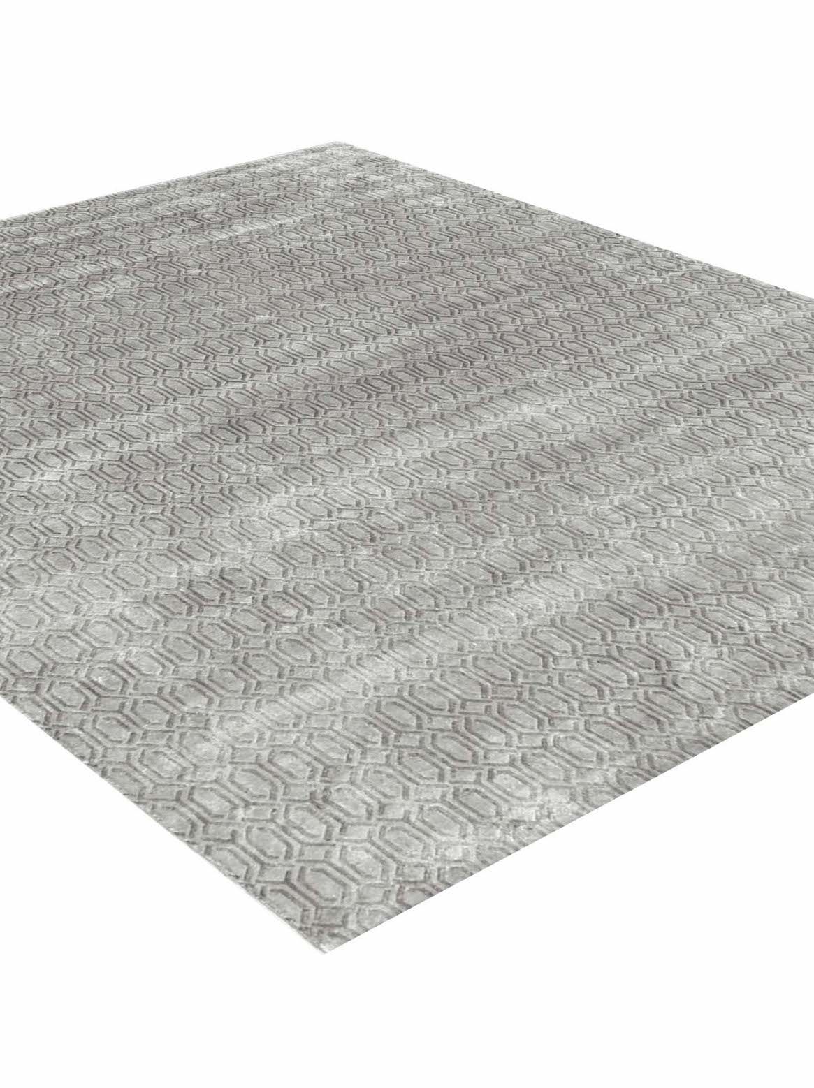 Luxury hand knotted carpet made from Botanical Silk in silver taupe color and 5'6" x 8' size