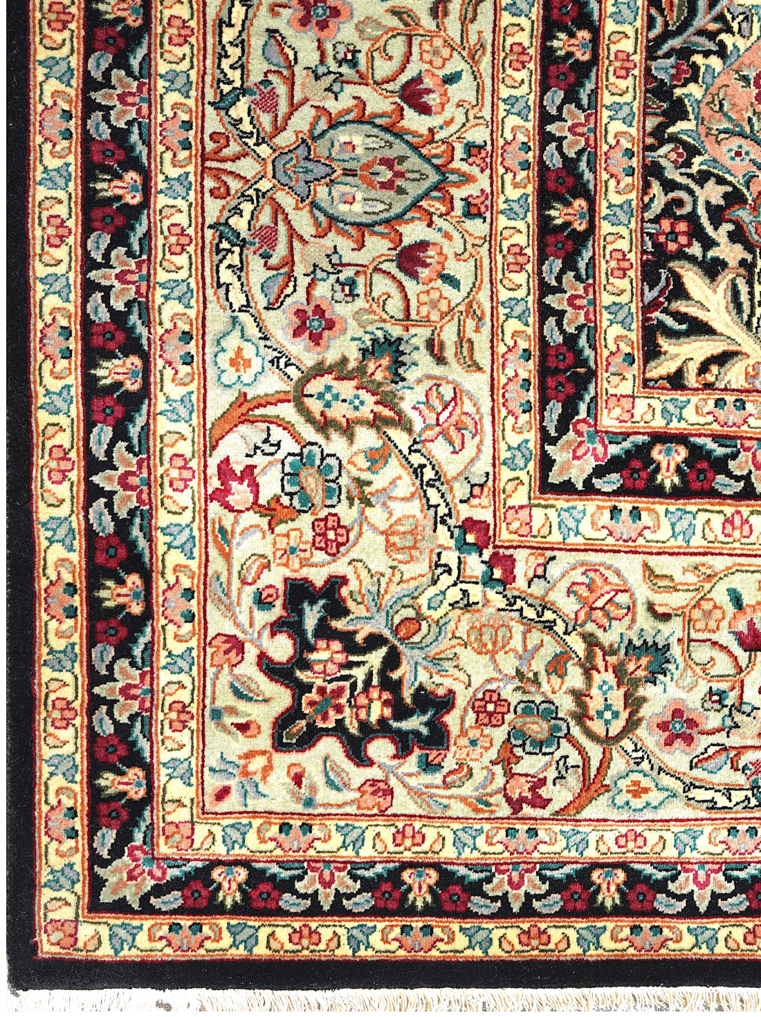 Luxury hand knotted carpet made from 100% Wool in assorted color and 9' x 12' size