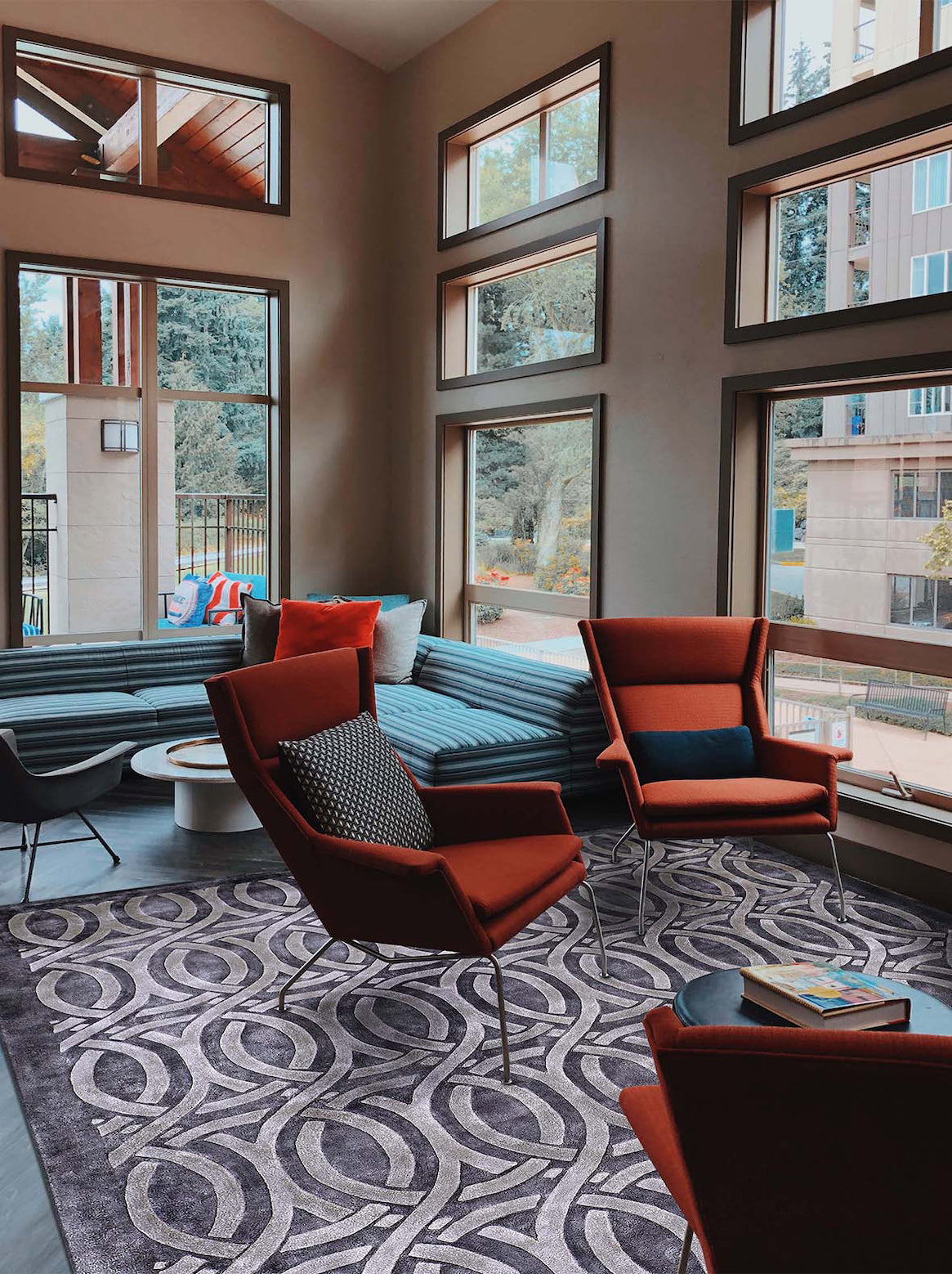 Luxury carpet in Grey color and 5'6" x 8' size