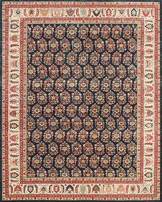 Hands DL 1669 Multi Luxury Carpet - 100% Wool, Hand Knotted (9' x 12')